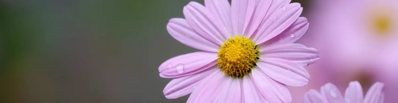 Medikamente Nebenwirkungen Natutheilverfahren